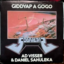 Disco vinile 45 giri Ad Visser