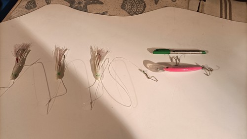 Filosa con polpetti - filosa, in