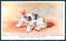 Animali Firenze Valter Cane Cairn Terrier ? Cartolina San Valentino 740 TW1234