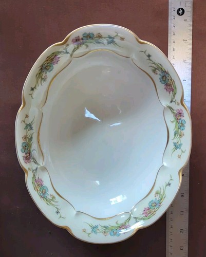 Haviland france servizio - france,