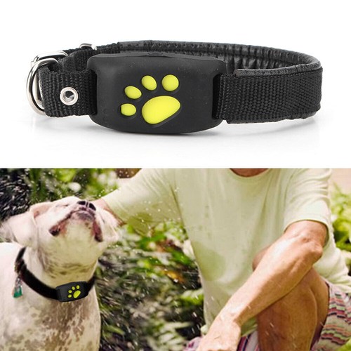 Collare gps gsm - gsm, pet