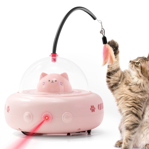 Zhao interactivity cat - cat,