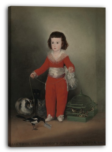 Tela cornice goya - goya,