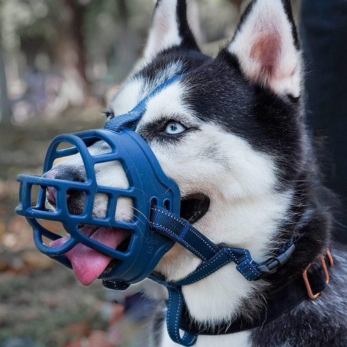 Museruola per cani morbida - per, cani,
