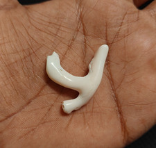 Pietra preziosa ramo grezzo