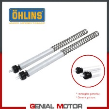 Ohlins Molle Forcella FSK 100 Honda Cbr650r 2019 > 2020 FSK 150