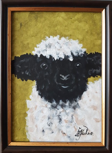 Piccolo agnello dalla faccia