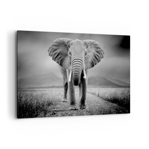 Quadro tela 120x80cm - su,