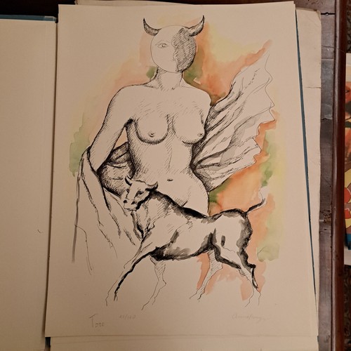 Litografia 1985 anna ceruti - litografia,