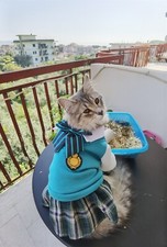 Vestito per gatto o cane