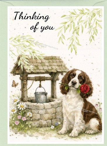 Carta inglese springer - carta,