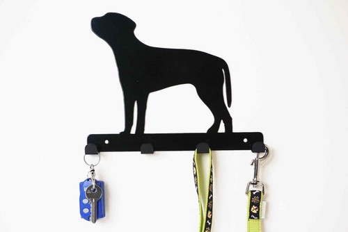 Rhodesian ridgeback - ridgeback,