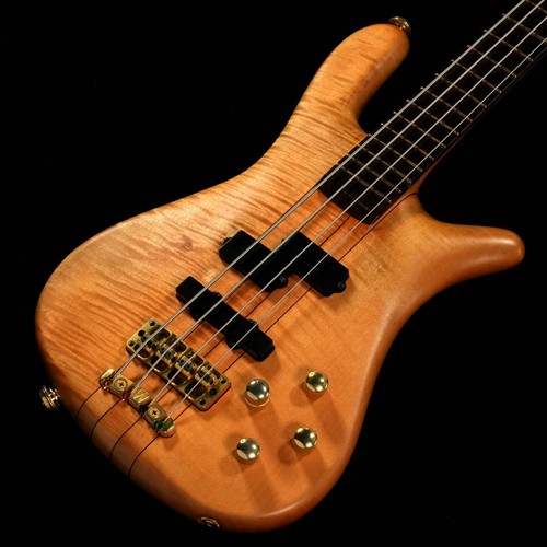 Warwick streamer stage - warwick,