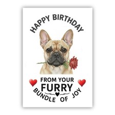 Biglietto Compleanno Dal Cane