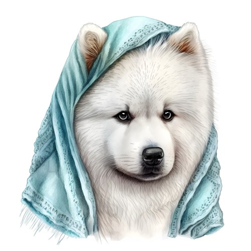 Adesivi samoiedo cane - 8,