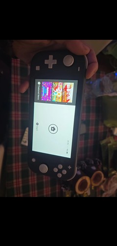 Nintendo switch lite console - nintendo,