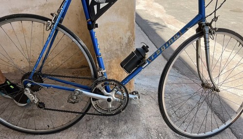 Bicicletta corsa regina - bicicletta,