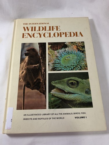 The international wildlife - the,