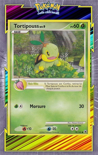 Tortipouss dp05 aube - 🌈tortipouss,