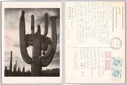 X03759 ansel adams saguaros - x03759,