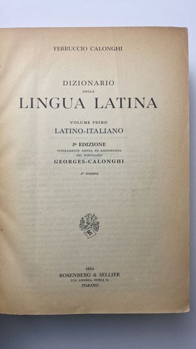 Dizionario della lingua