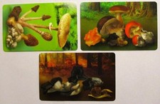 Rep.San Marino n. 3 schede