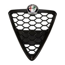Carbon Front Bumper Shield