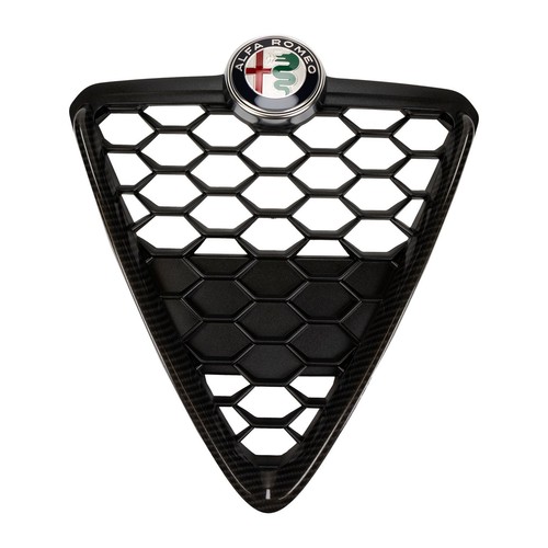 Griglia scudo paraurti - griglia,