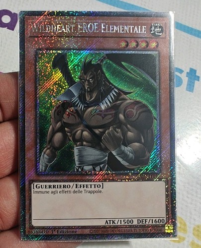 Wildheart eroe elementale - wildheart,