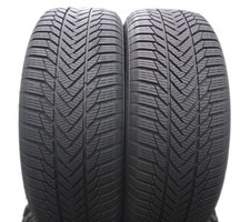 2 pneumatici invernali ESA