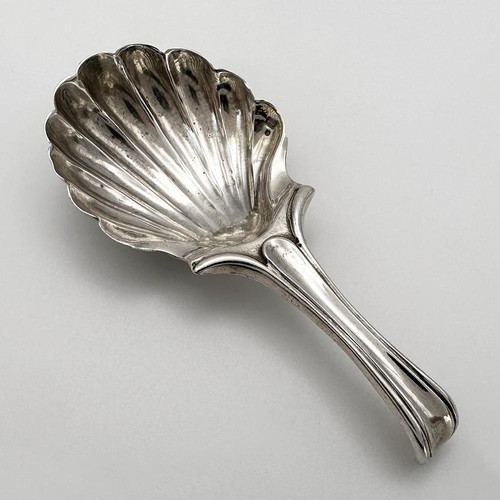 Cucchiaio caddy conchiglia