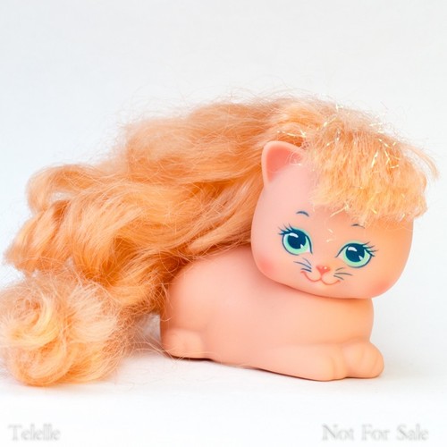 Cerco gatto arancione foca - gatto, e