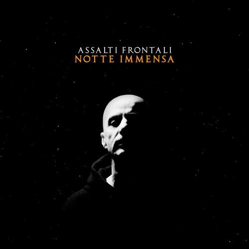 Vinile assalti frontali - frontali,