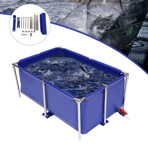 Cuboide blu tela - , pesci