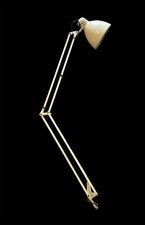 💙 Naska Loris Luxo L-1