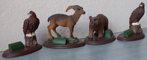 Animali lotto orso bruno - 4,
