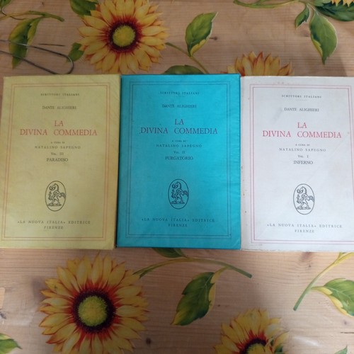 Divina commedia volumi - divina, 3