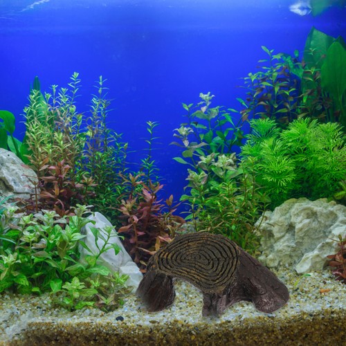 Accessori per acquario - per,