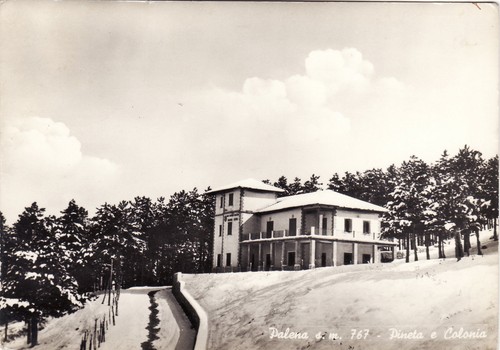 Palena pineta e - e, colonia