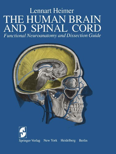 The human brain and spinal - human,