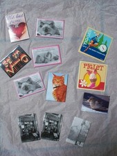 OFFERTA 12 CALAMITE MAGNETI