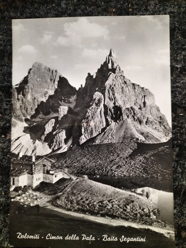 Dolomiti cimon della - dolomiti-,