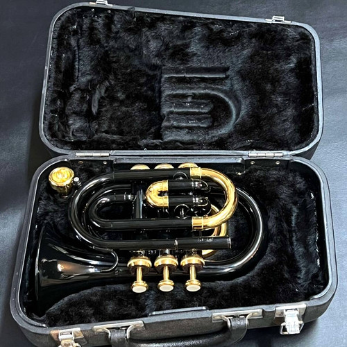 Tromba tascabile jupiter - tromba,