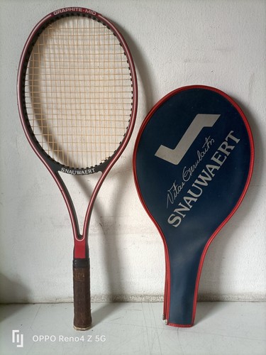Snauwaert vitas gerulaitis - vitas,