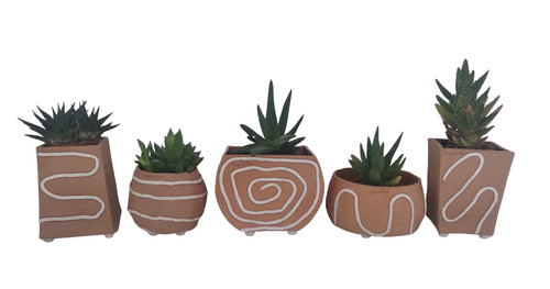 Vasi terracotta - in,