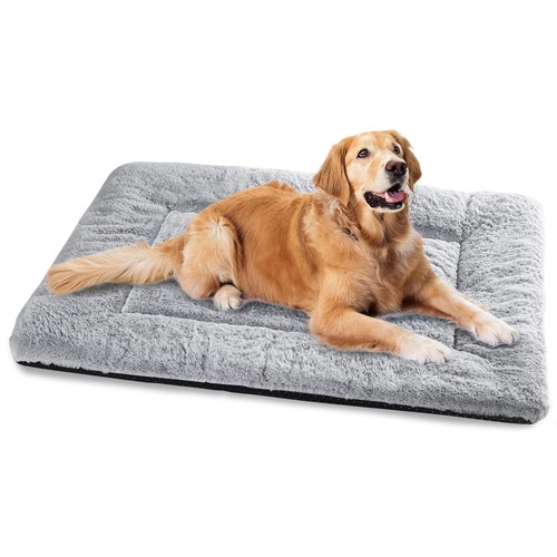 Cuccia cane interno - cuccia, taglia