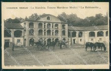 Torino Venaria Reale La