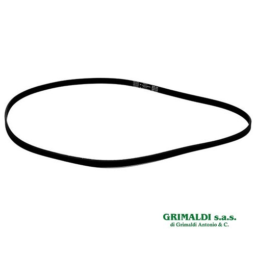 Cinghia elastica 1215 5pje - cinghia,