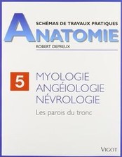 Myologie, angéiologie