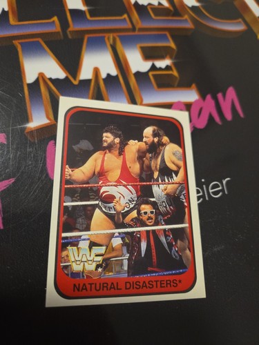 Merlin wwf wwe the natural - wwf,
